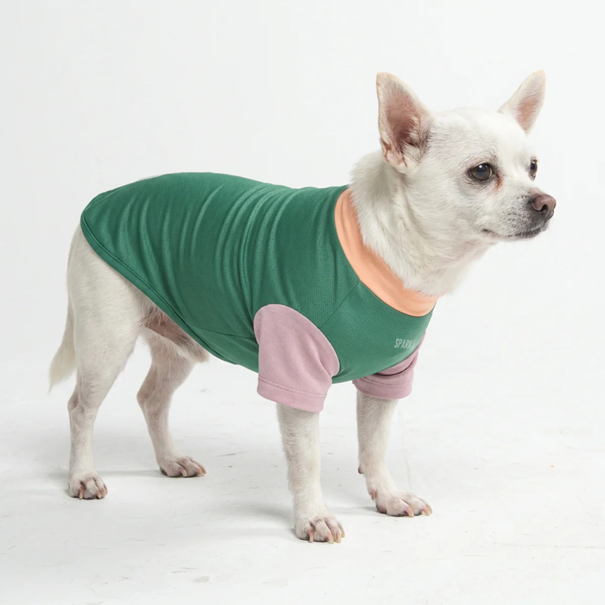 Sunblock Dog T-Shirt - Color Block - Image 26