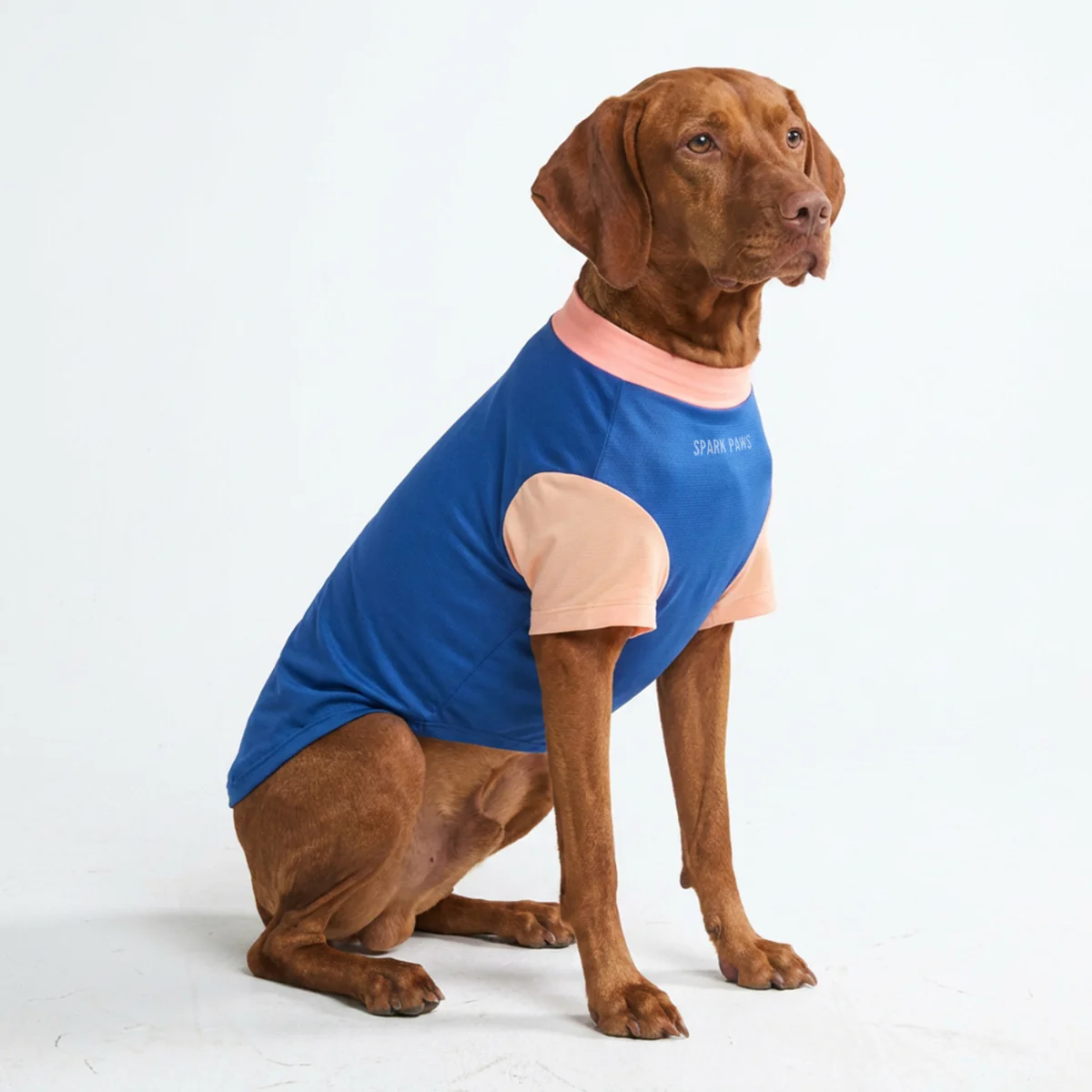 Sunblock Dog T-Shirt - Color Block - Image 34