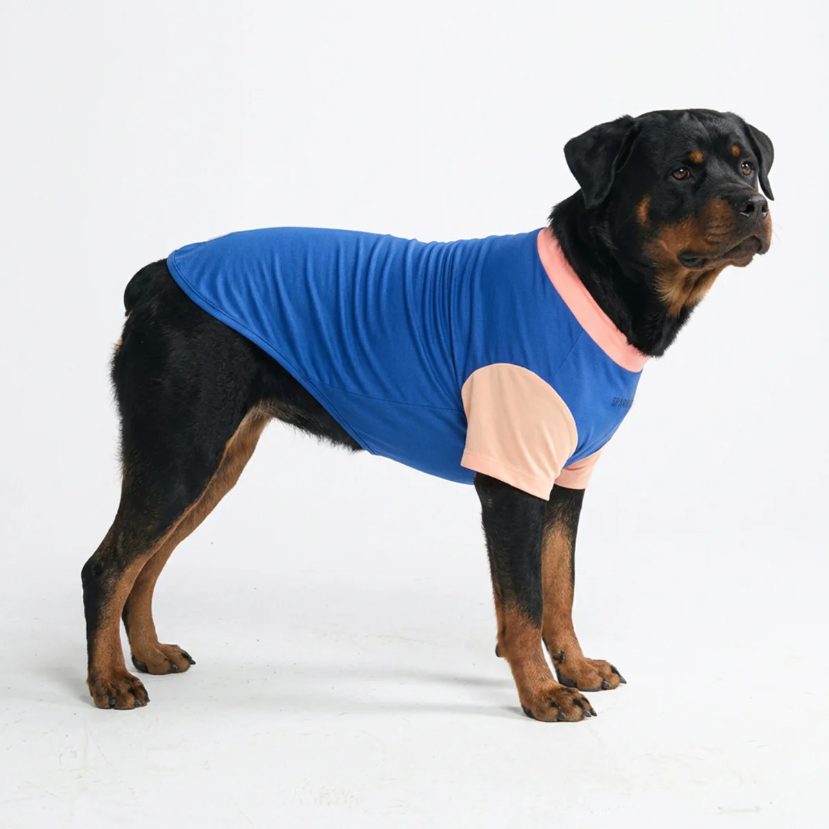 Sunblock Dog T-Shirt - Color Block - Image 36