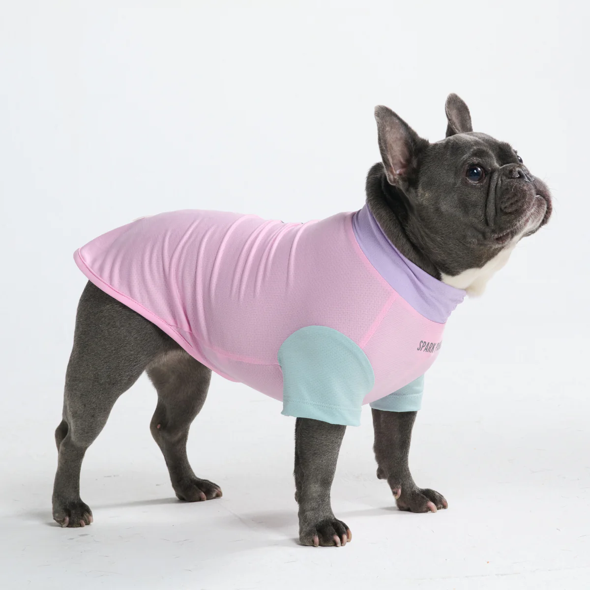 Sunblock Dog T-Shirt - Color Block - Image 5