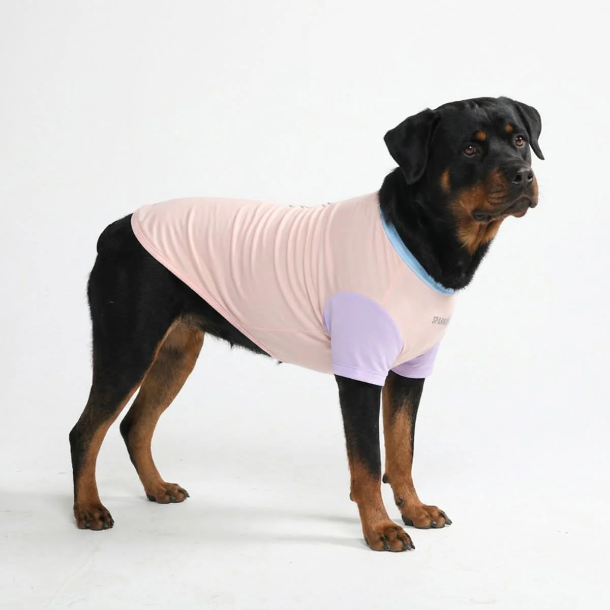 Sunblock Dog T-Shirt - Color Block - Image 52