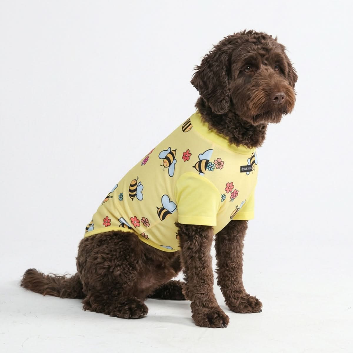 Sunblock Dog T-Shirt - Prints - Image 3