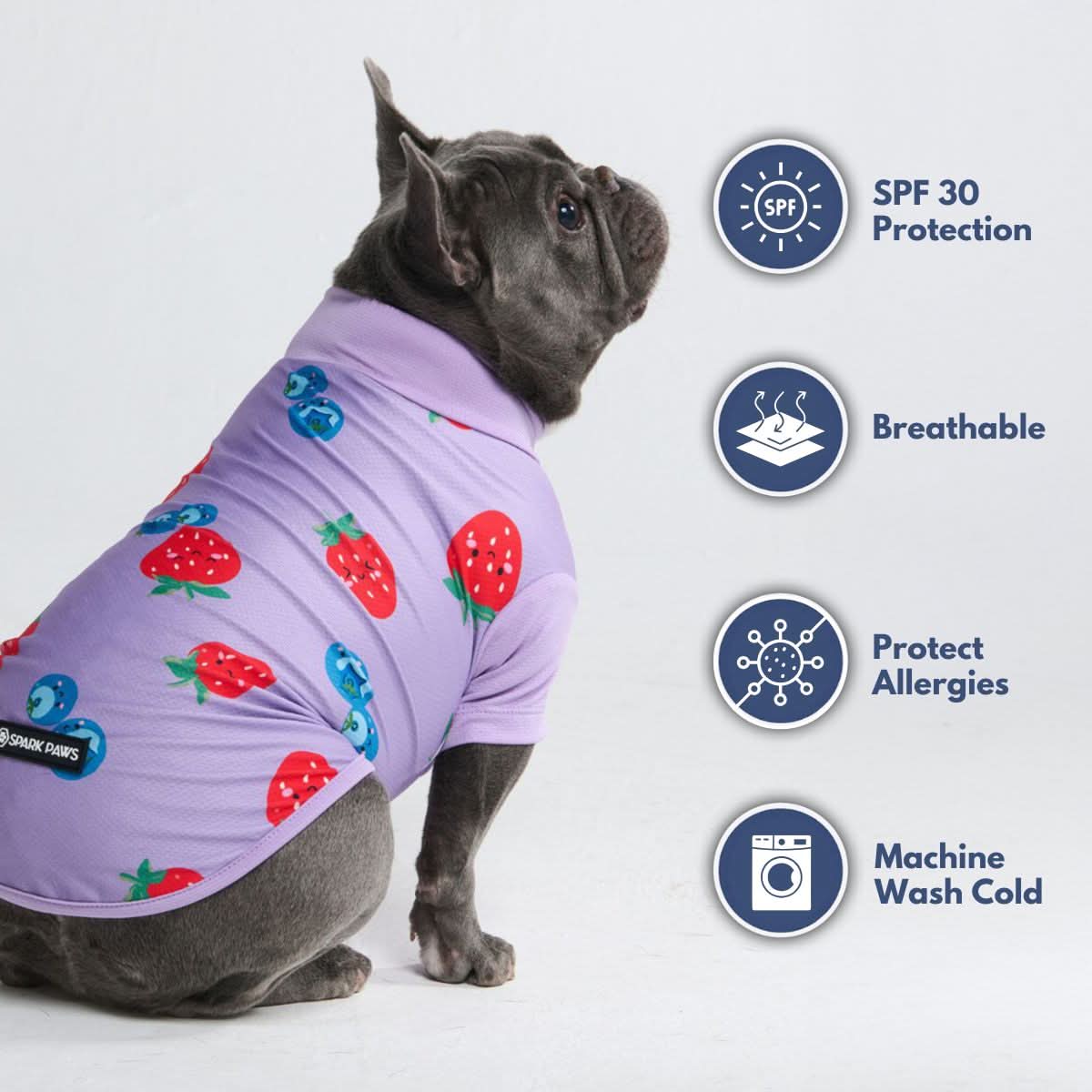 Sunblock Dog T-Shirt - Prints - Image 31