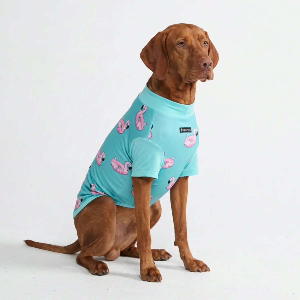 Sunblock Dog T-Shirt - Prints - Image 11