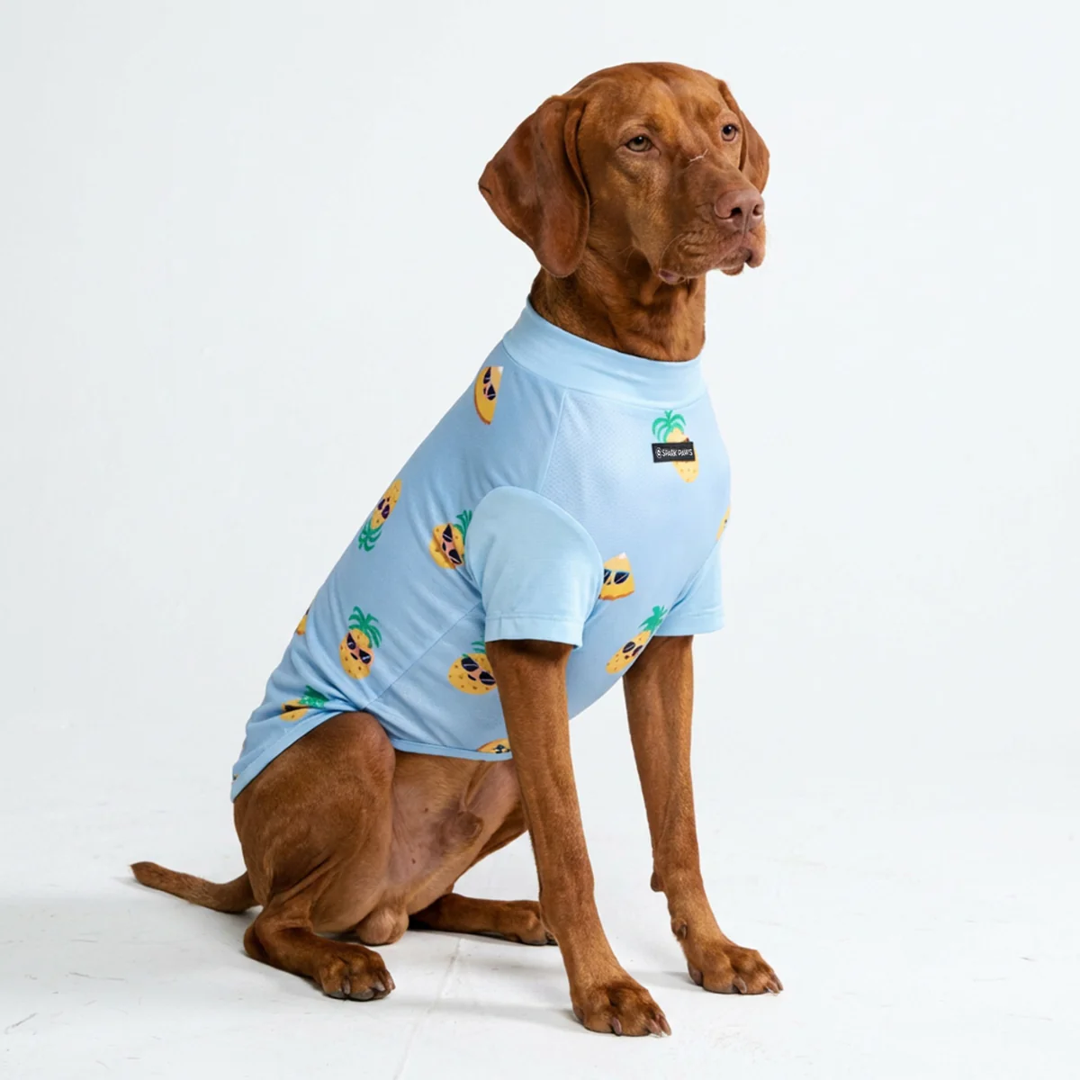 Sunblock Dog T-Shirt - Prints - Image 19