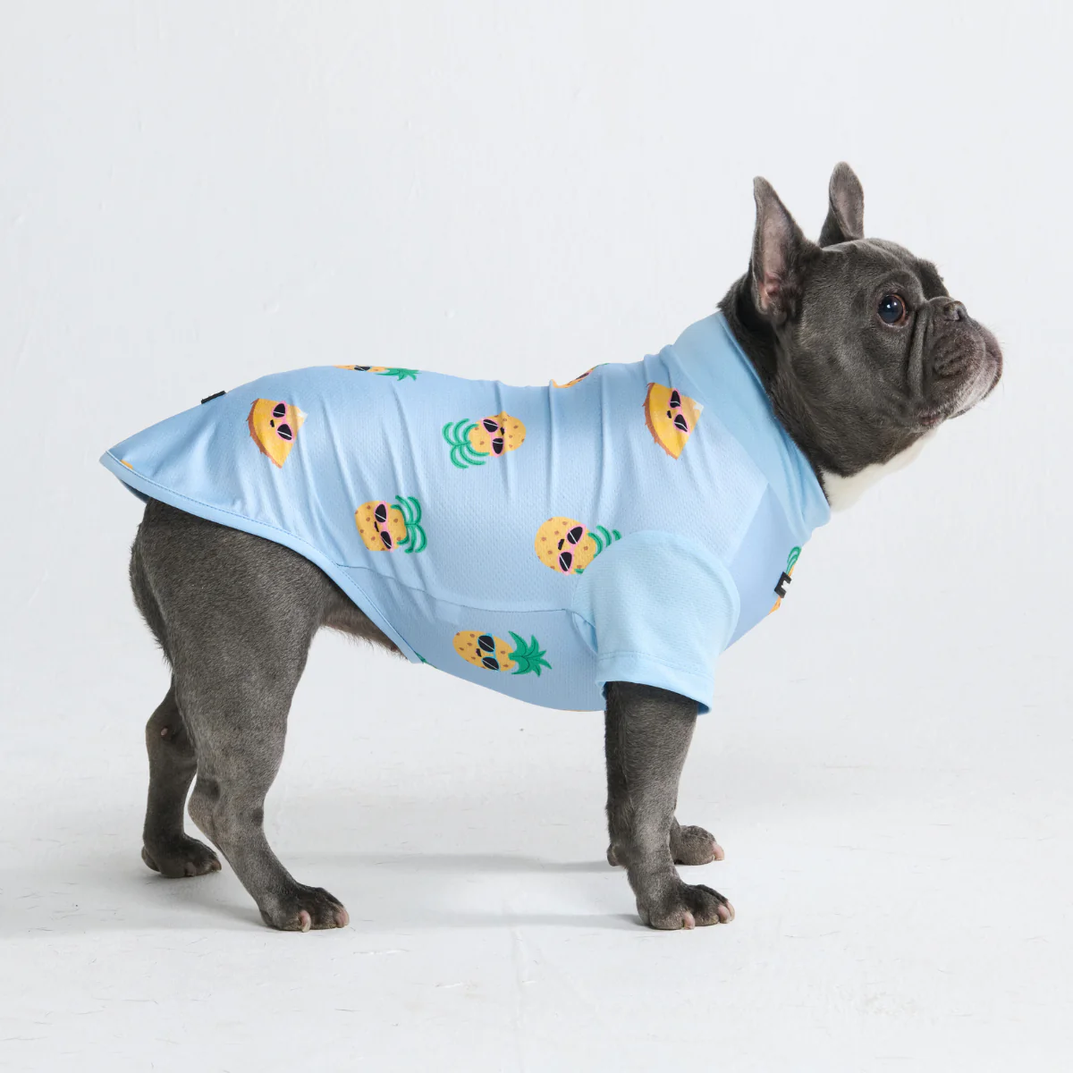 Sunblock Dog T-Shirt - Prints - Image 21