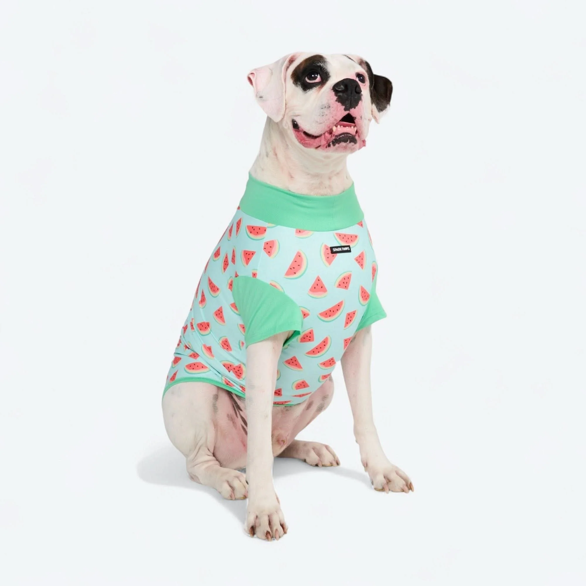 Sunblock Dog T-Shirt - Prints - Image 35