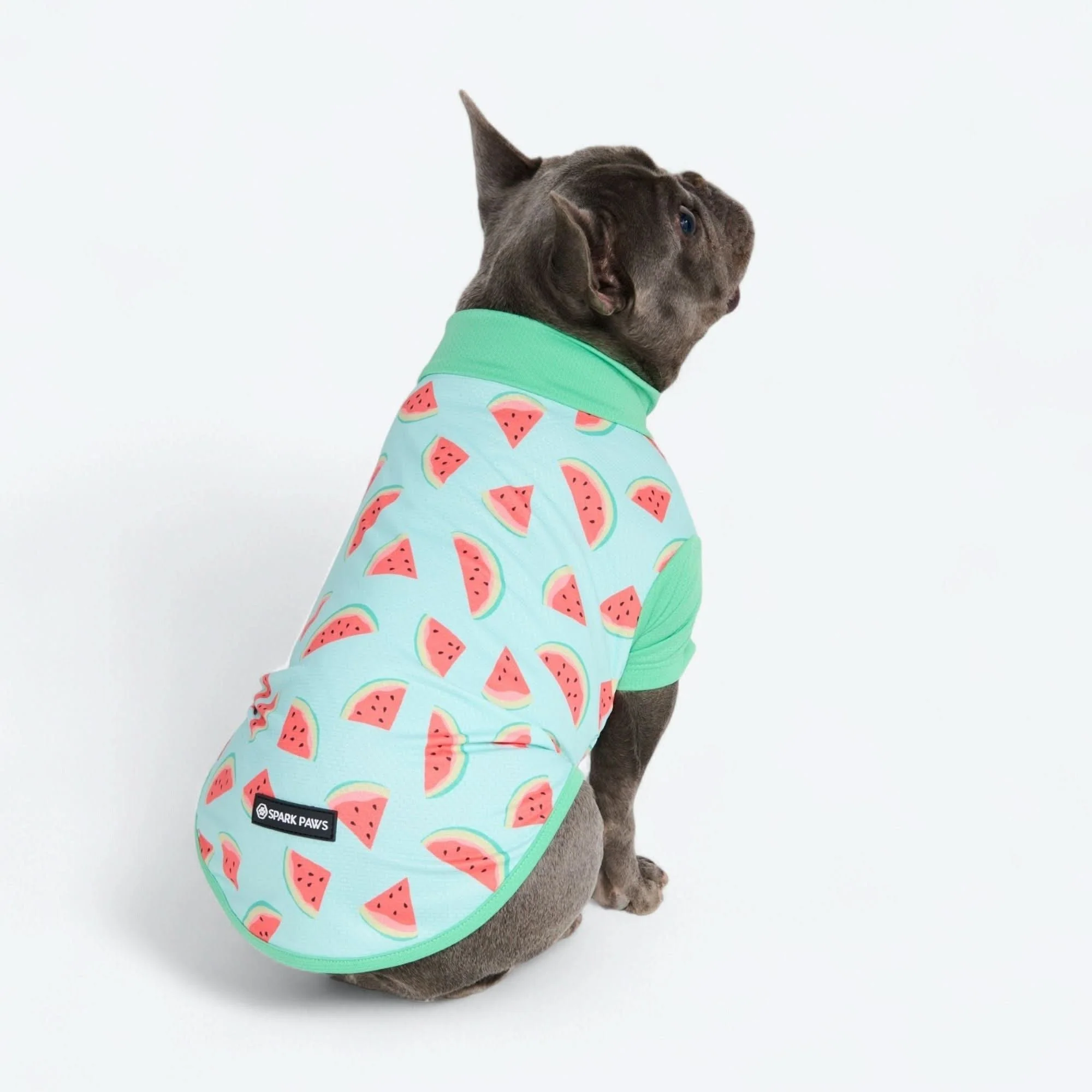 Sunblock Shirt - Watermelon - Image 5