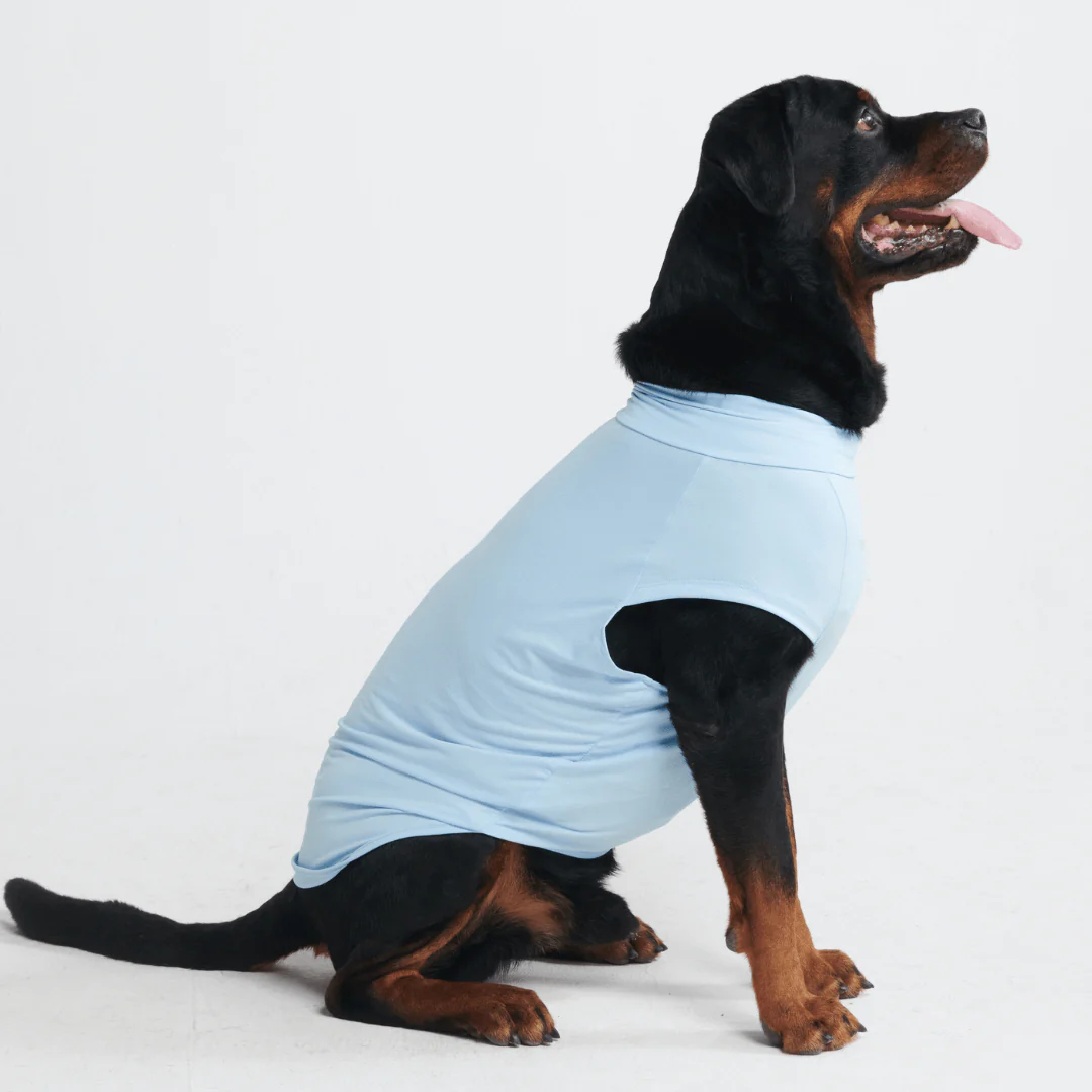 Sunblock Dog T-Shirts - Image 14