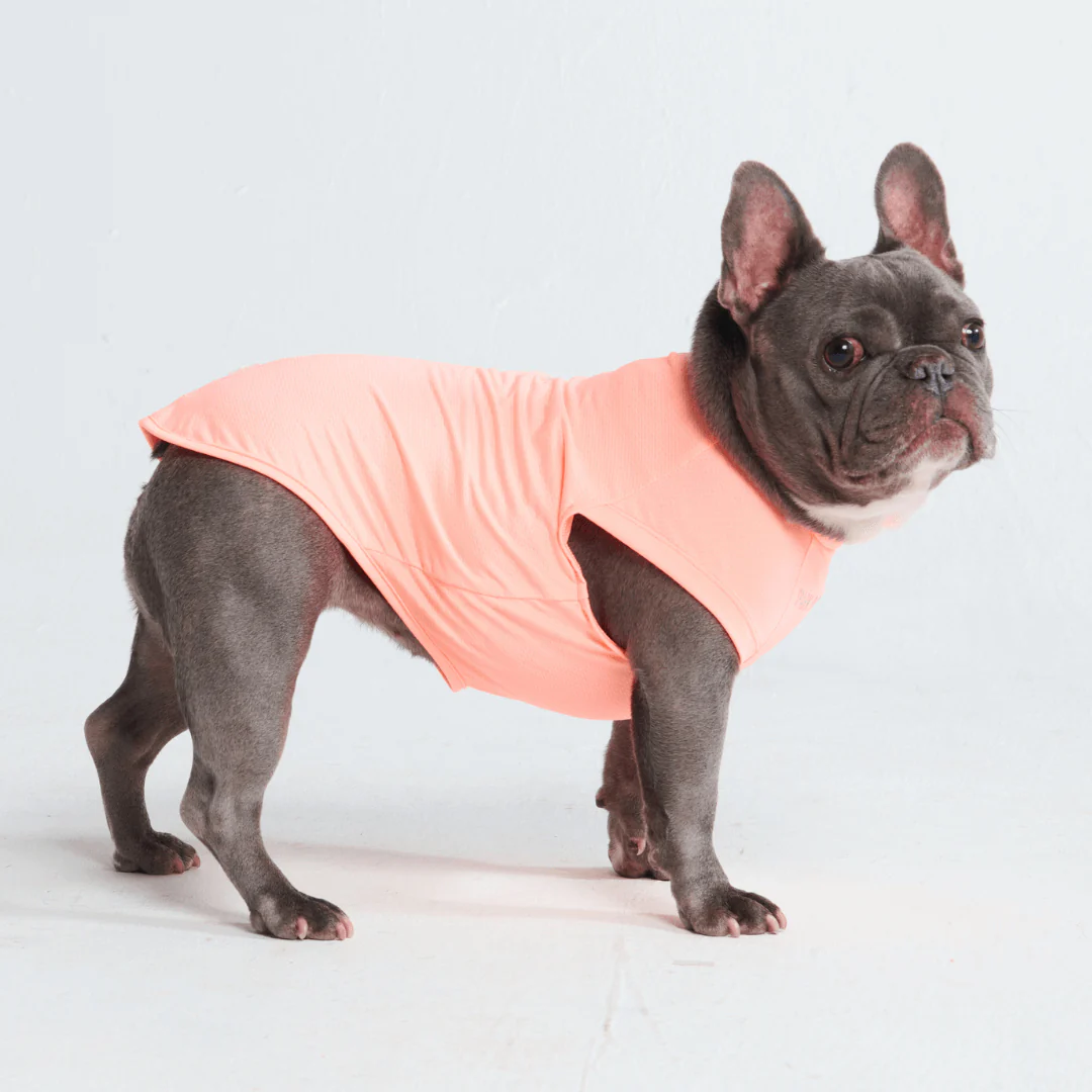 Sunblock Dog T-Shirts - Image 25