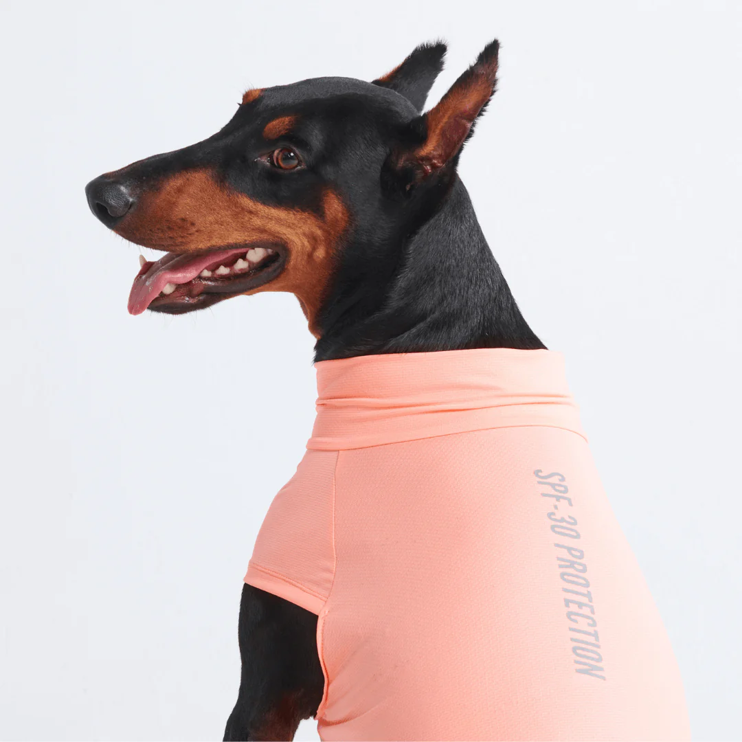 Sunblock Dog T-Shirts - Image 29
