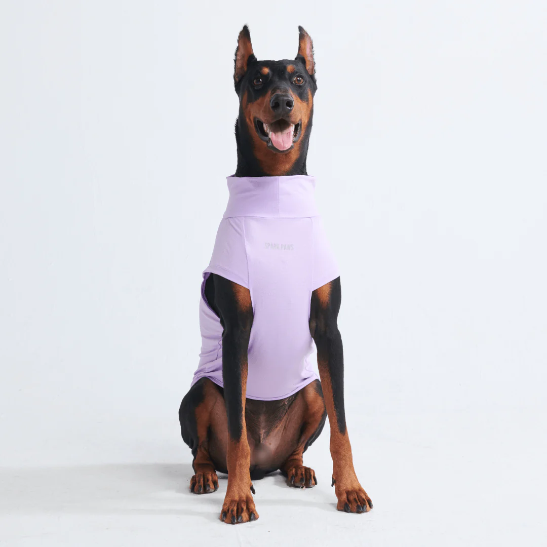 Sunblock Dog T-Shirts - Image 3