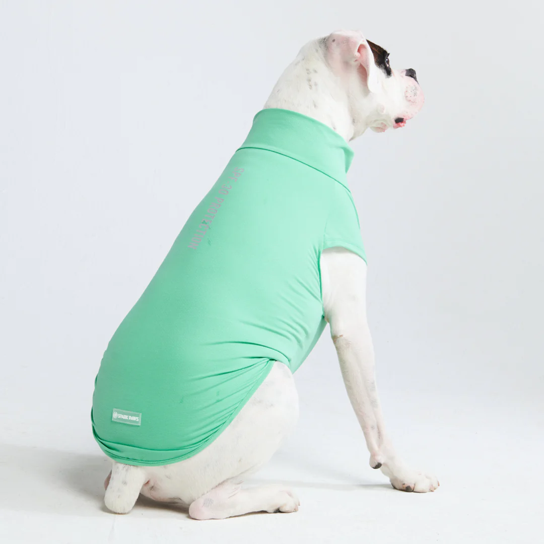 Sunblock Dog T-Shirts - Image 31