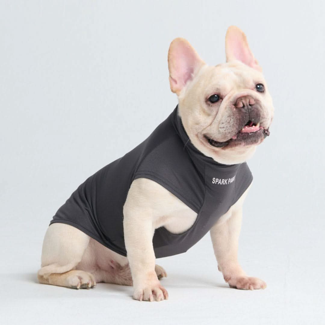 Sunblock Dog T-Shirts - Image 39
