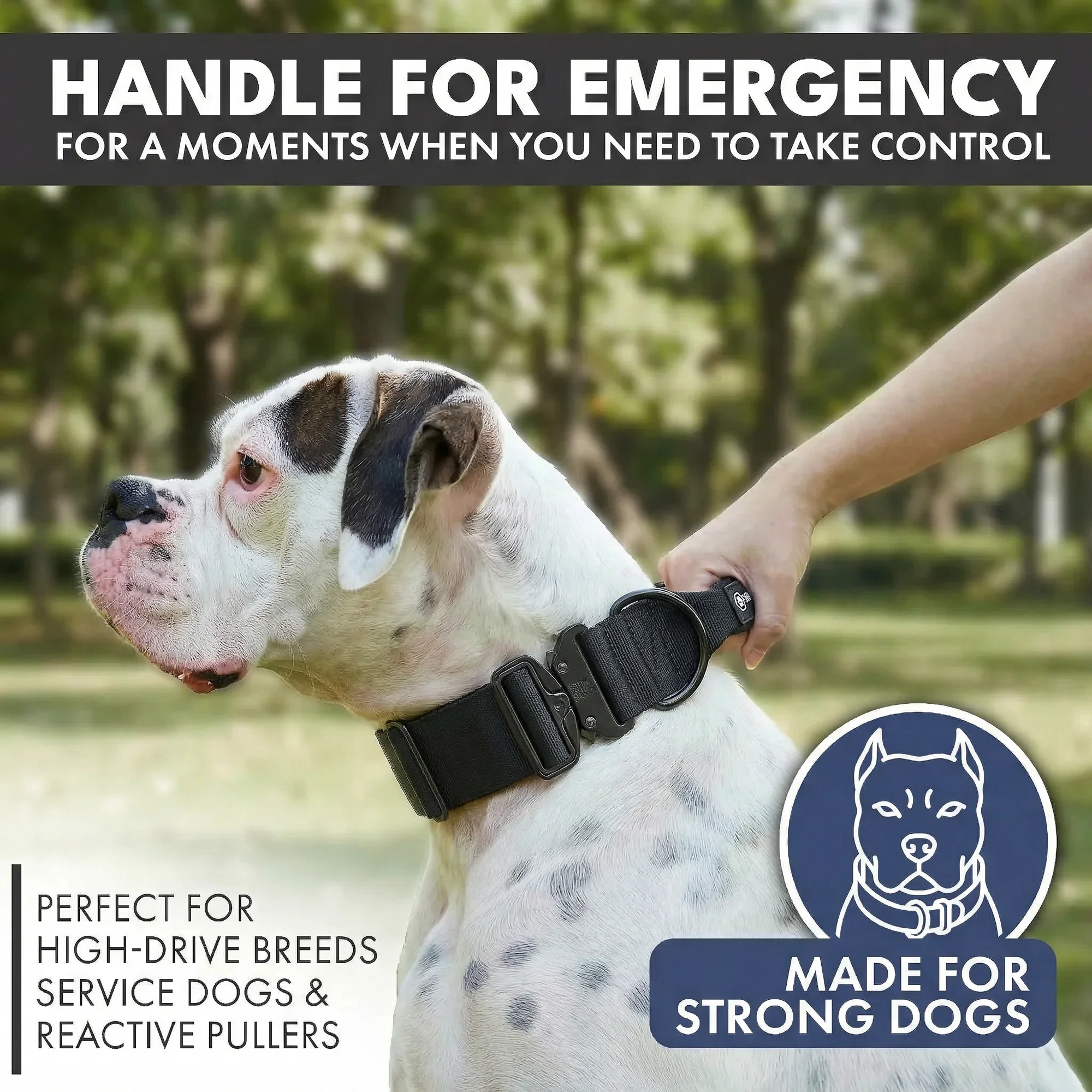 Comfort Control Dog Collar Sets - Image 23