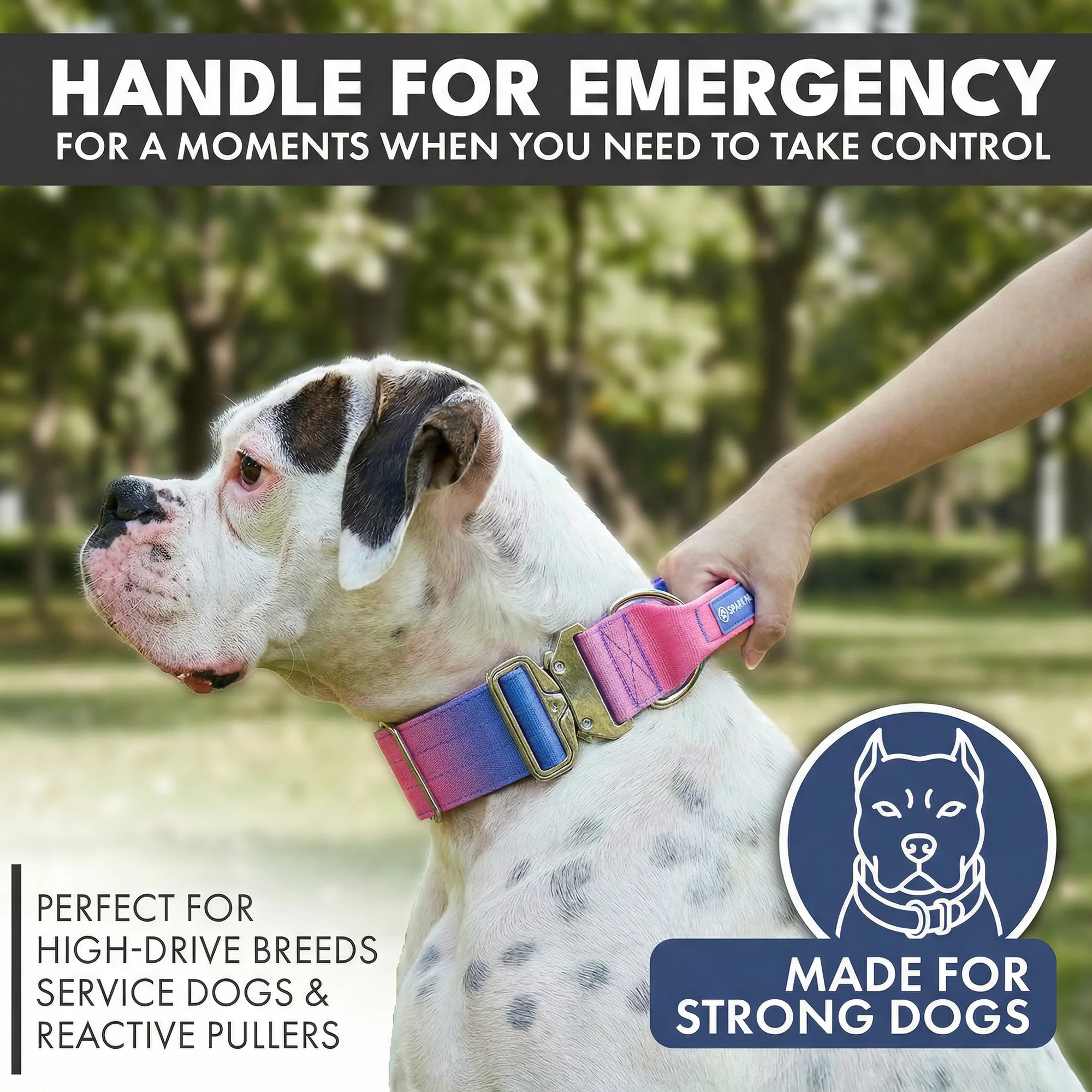 Comfort Control Dog Collar Sets - Image 37