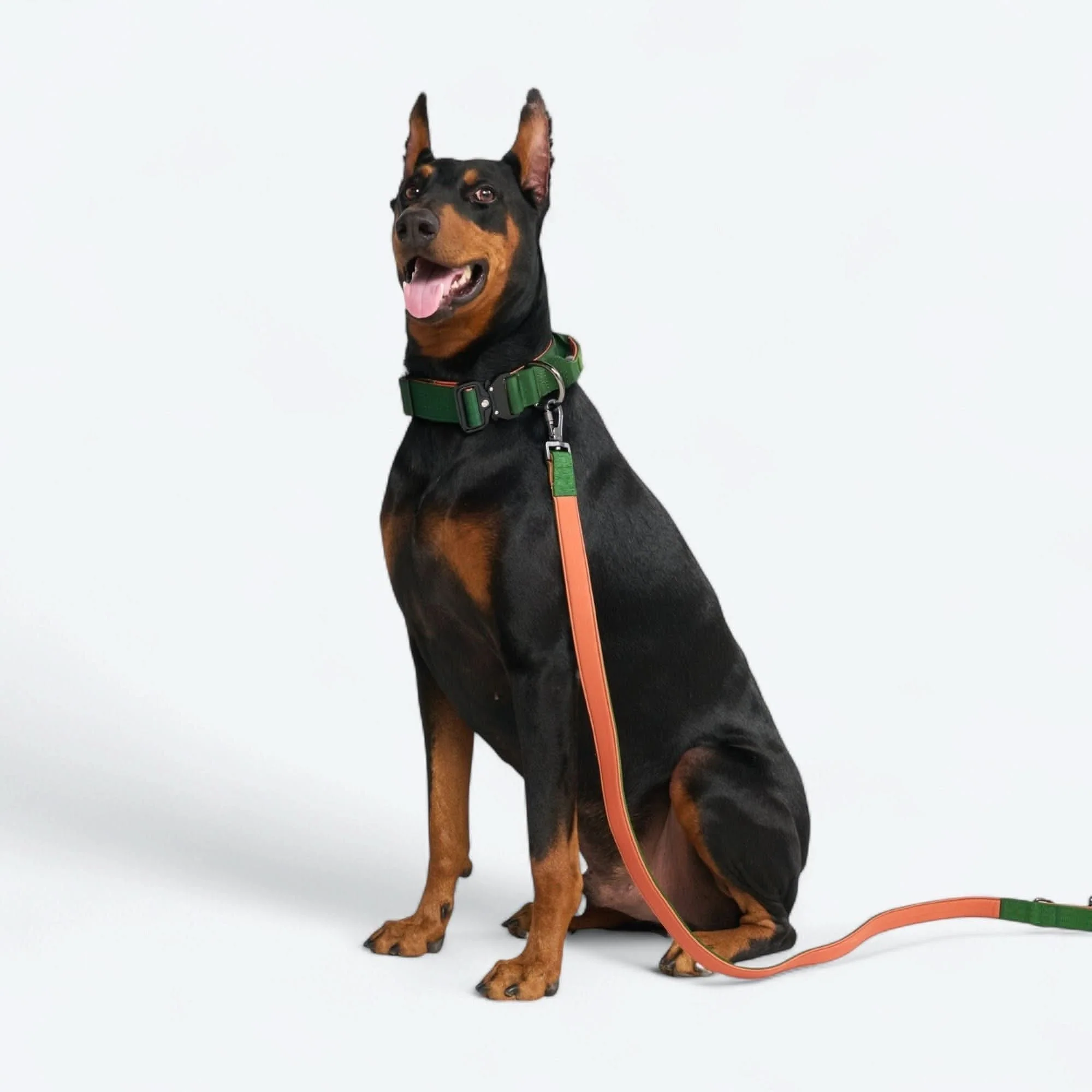 Comfort Control Dog Collar Sets - Image 76