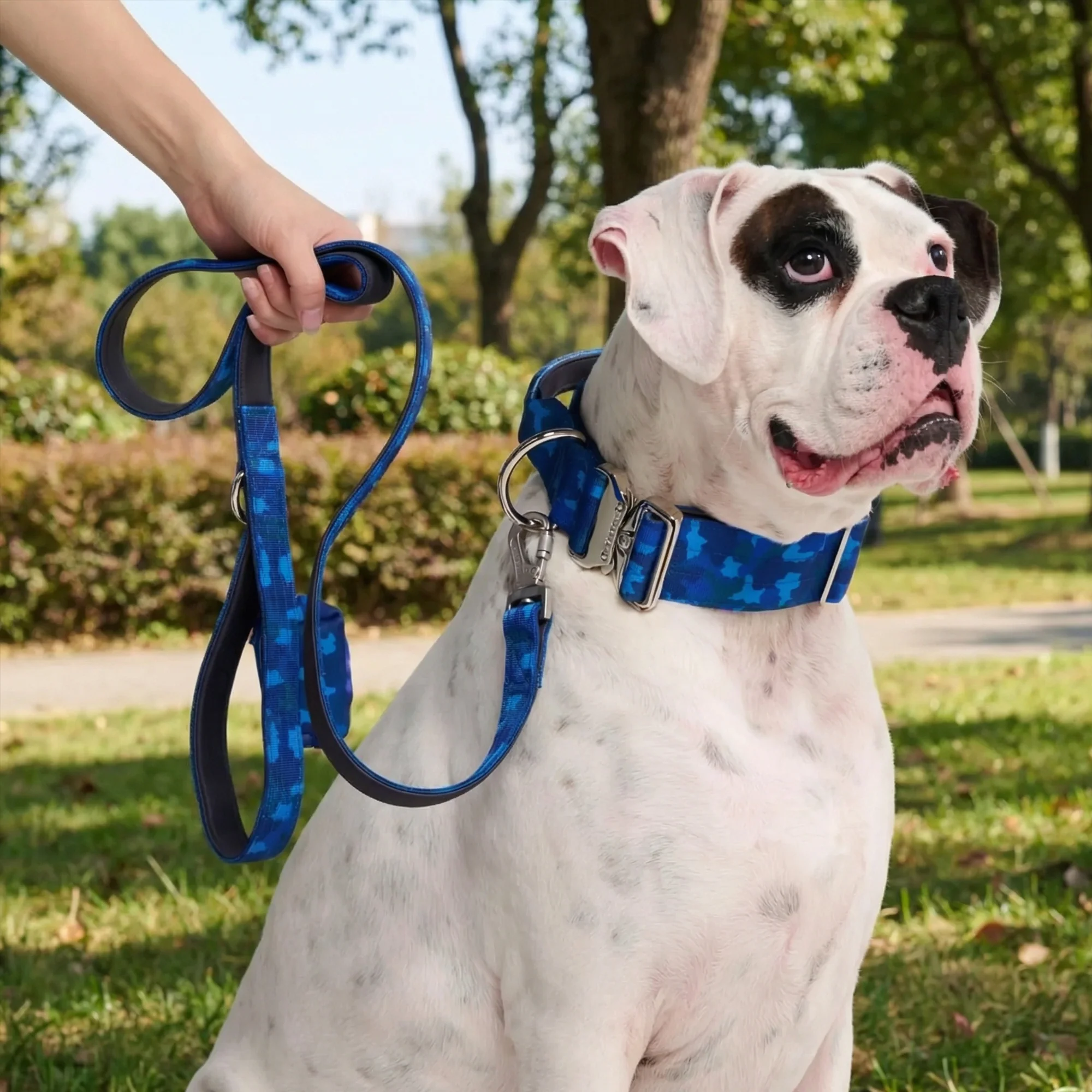 Comfort Control Dog Collar Sets - Image 70