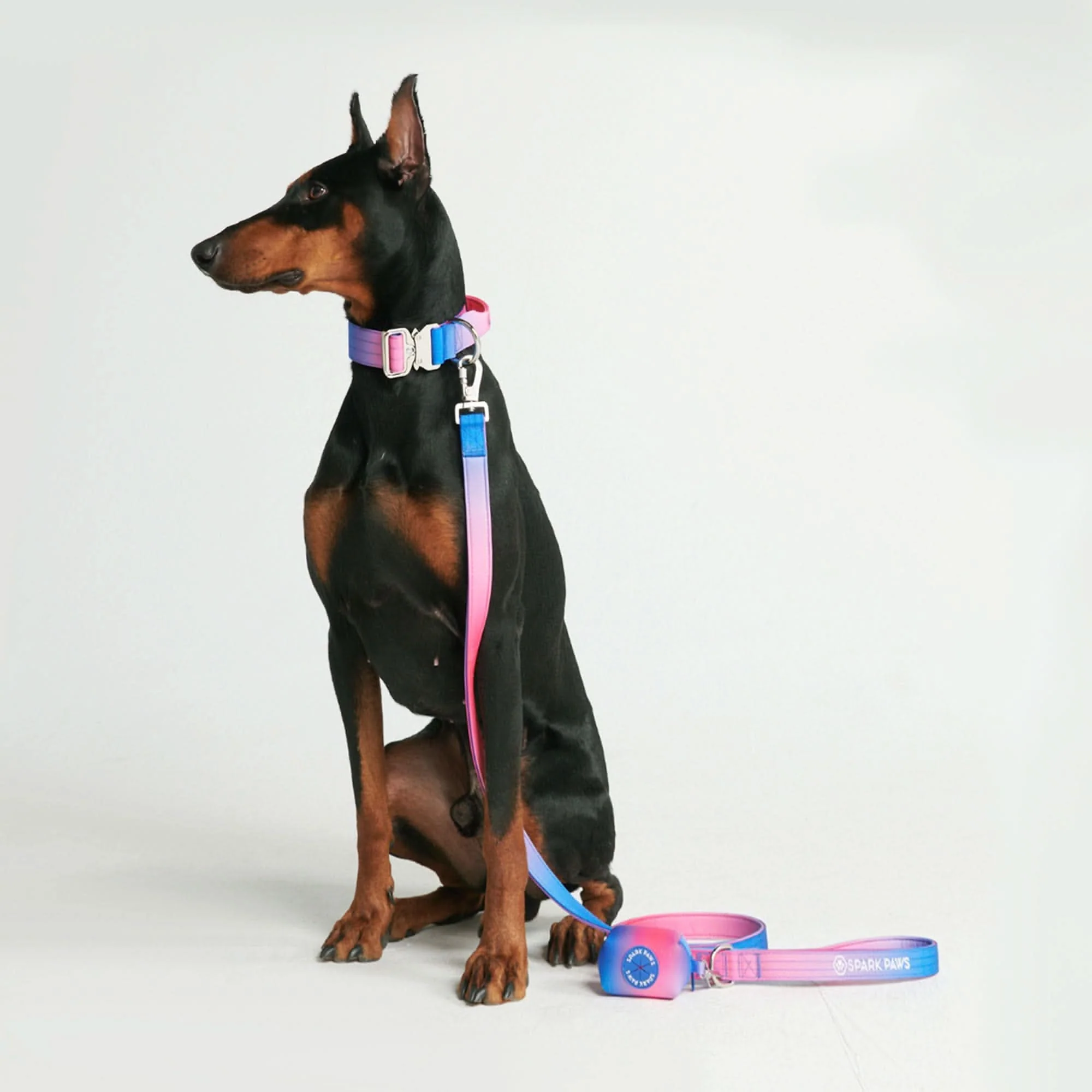 Comfort Control Collar Set - Snow Cone - Image 4