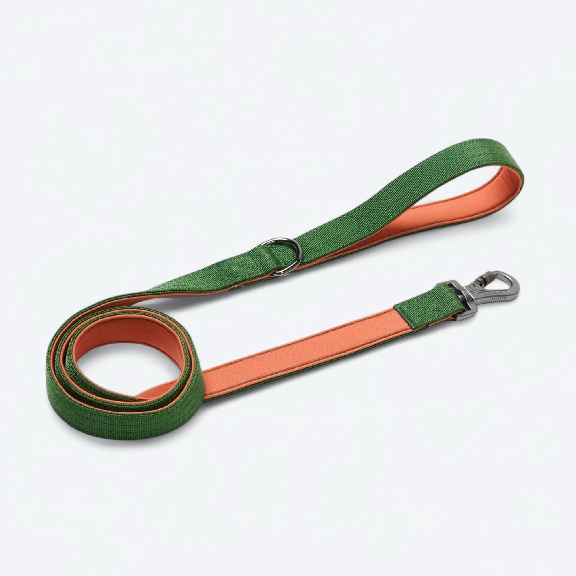 Comfort Control Collar Set - Green Orange - Image 5