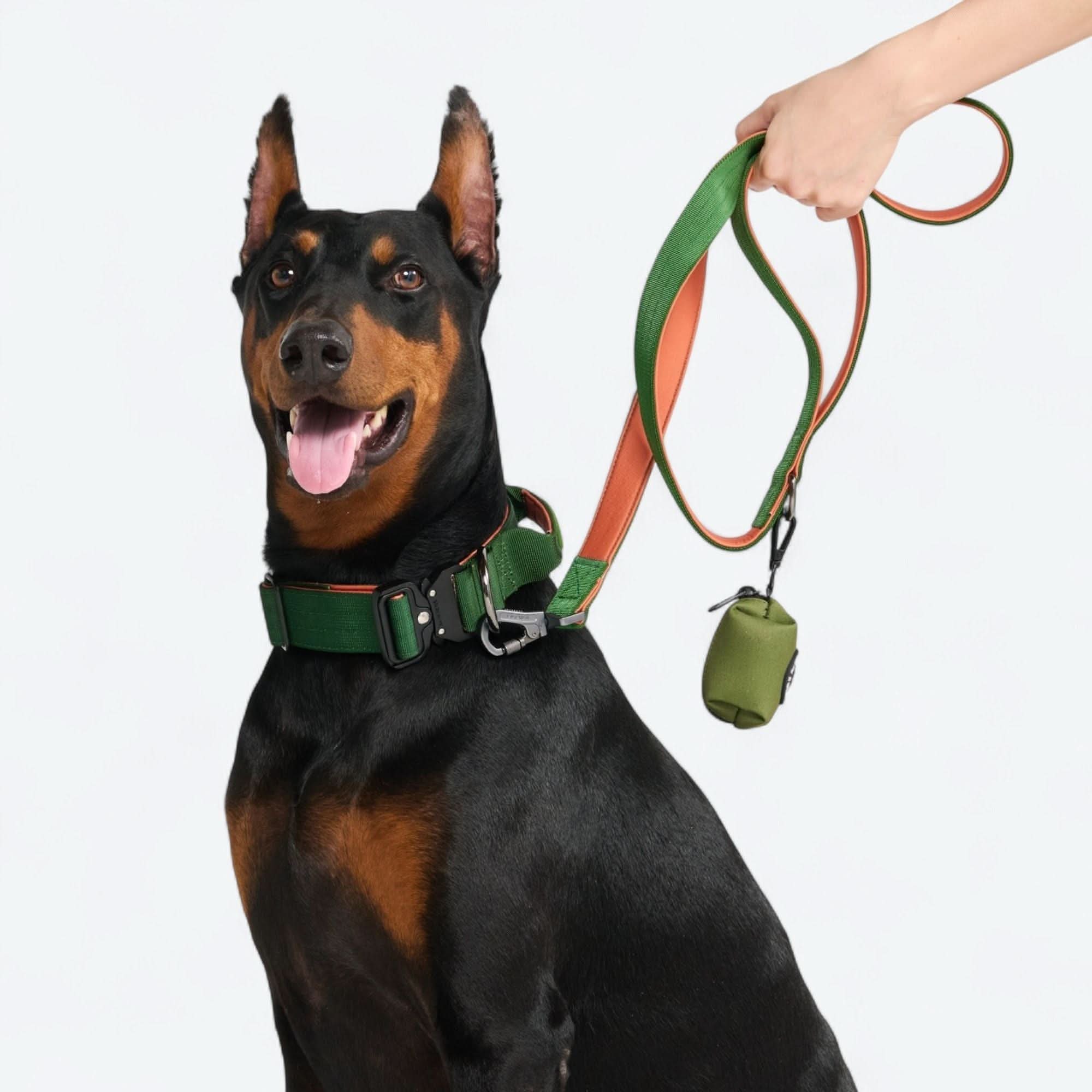 Comfort Control Dog Collars - Image 103
