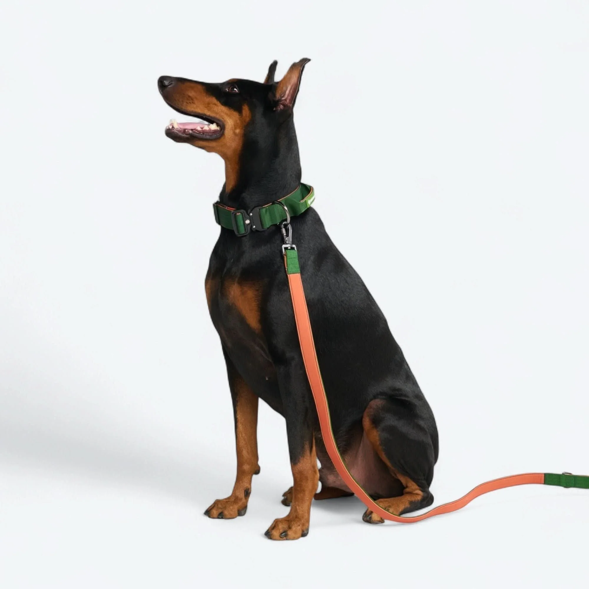 Comfort Control Dog Collars - Image 106