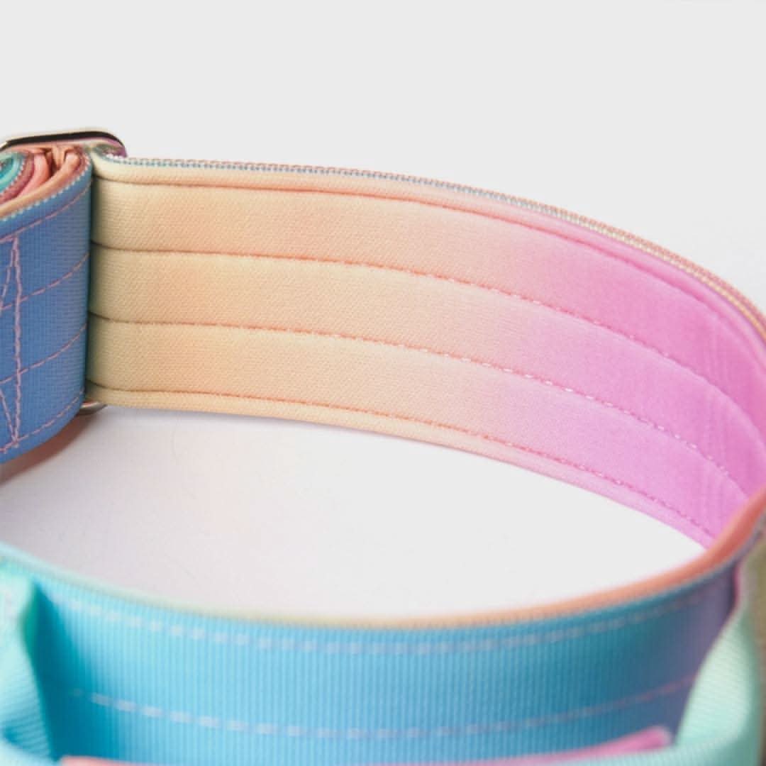 Comfort Control Dog Collars - Image 20