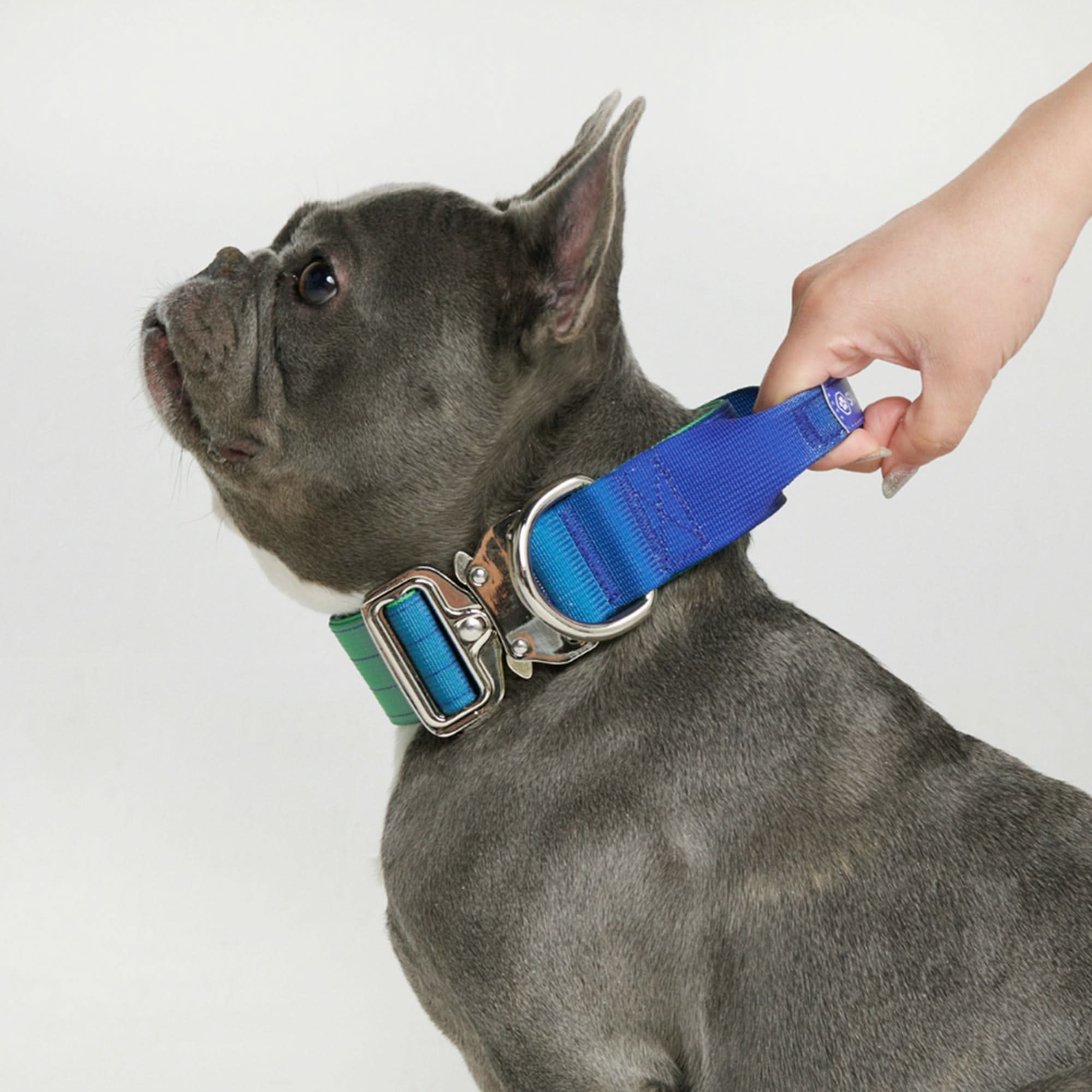 Comfort Control Dog Collars - Image 34