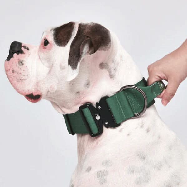 Comfort Control Dog Collars - Image 56