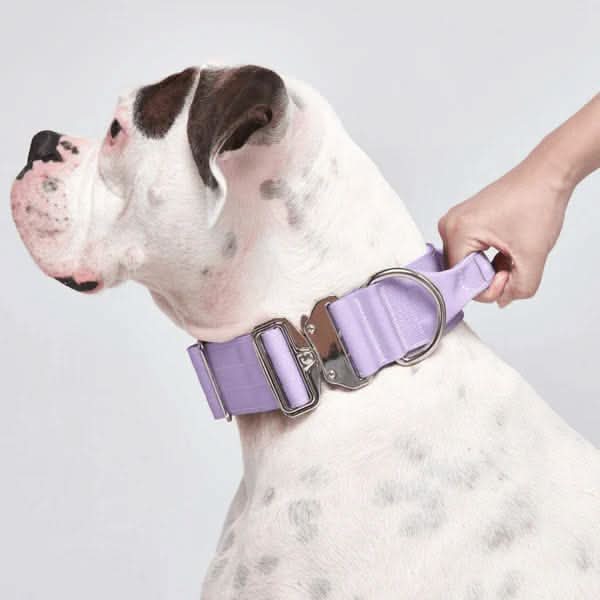 Comfort Control Dog Collars - Image 69