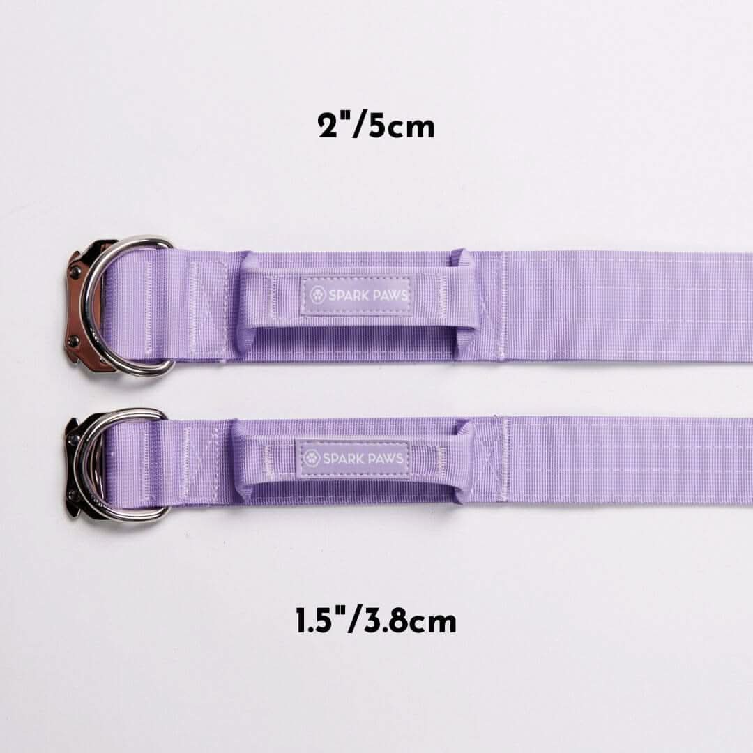 Comfort Control Dog Collars - Image 71