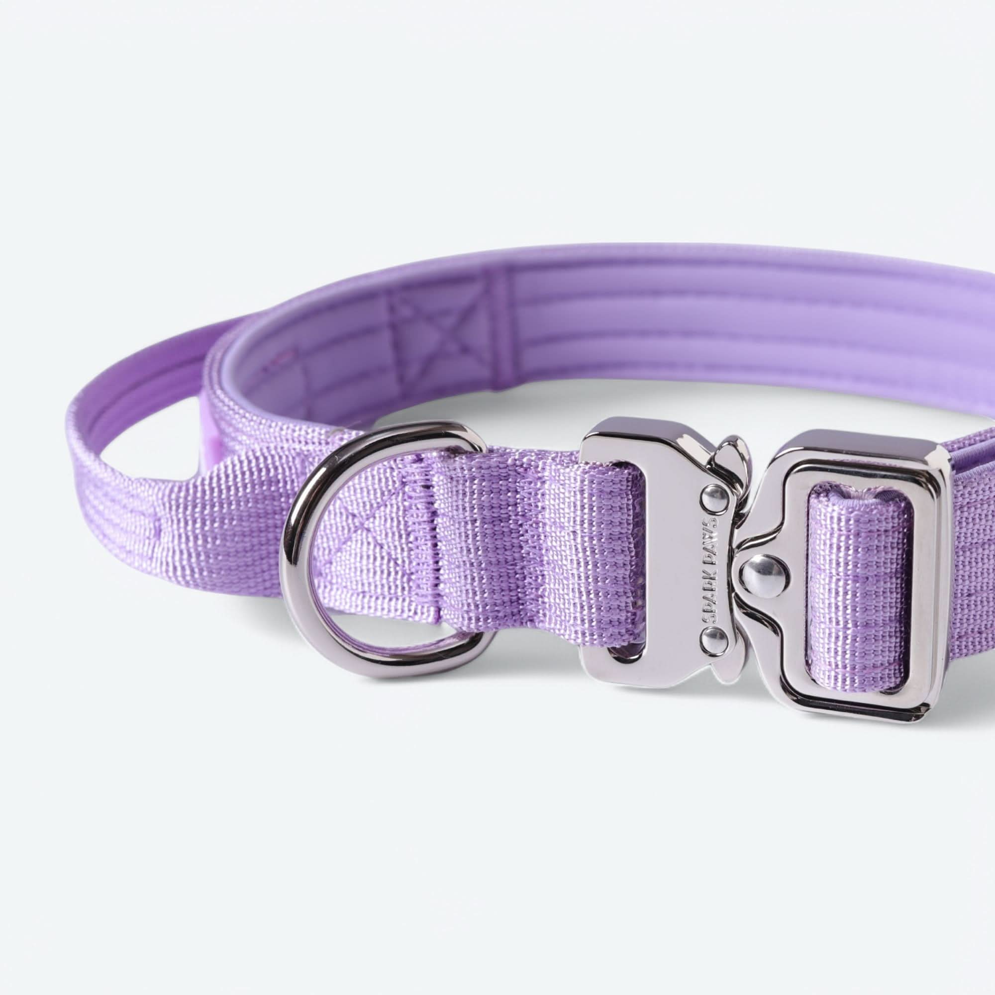Comfort Control Dog Collars - Image 80