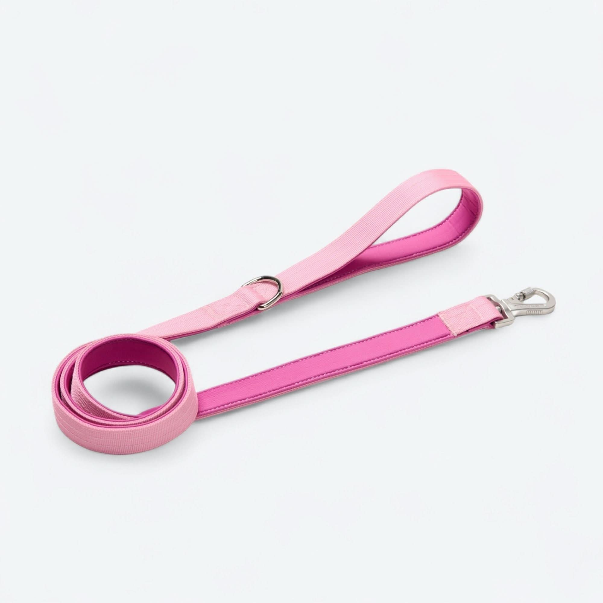 Comfort Control Dog Collars - Image 95