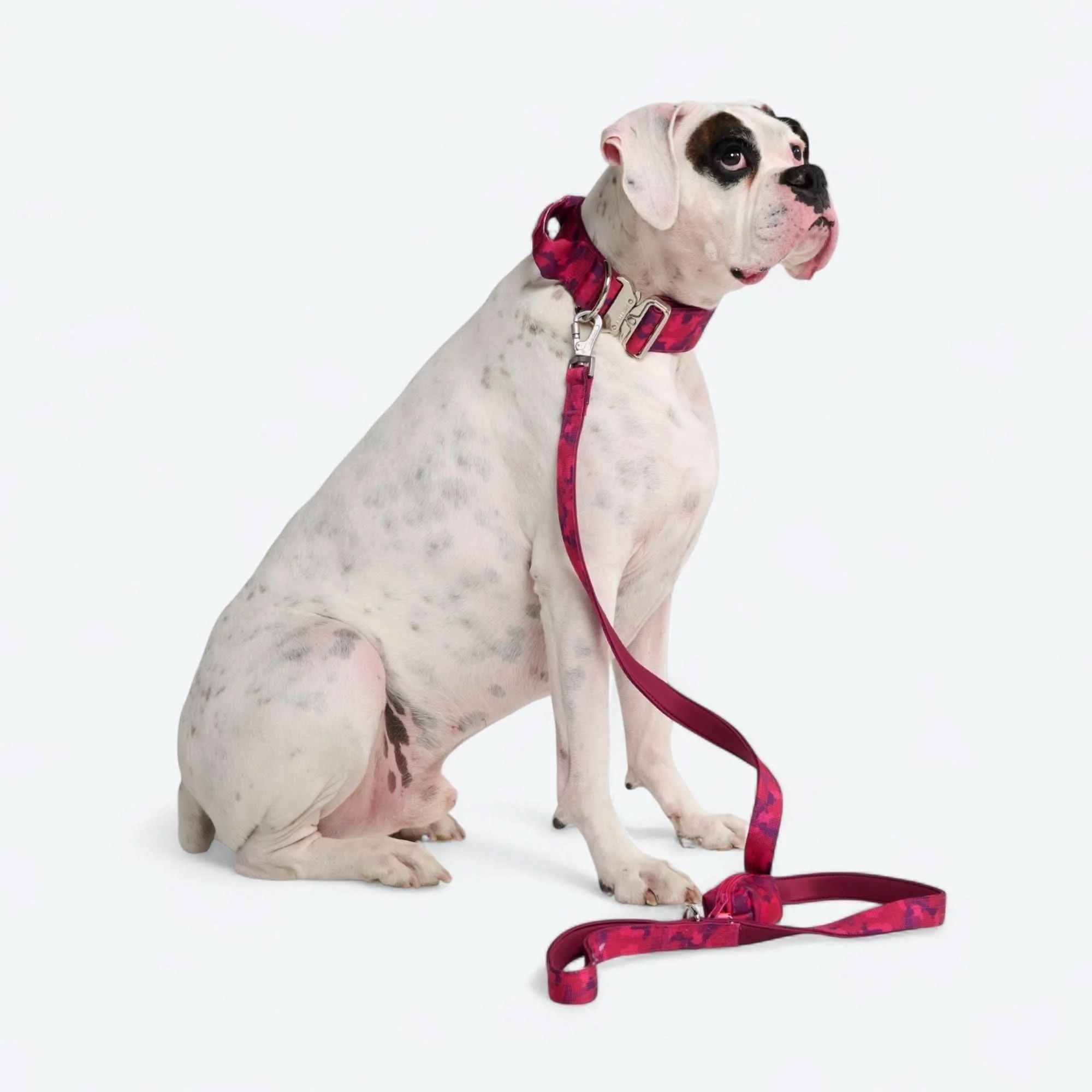 Comfort Control Collar - Fuchsia Camo - Image 8