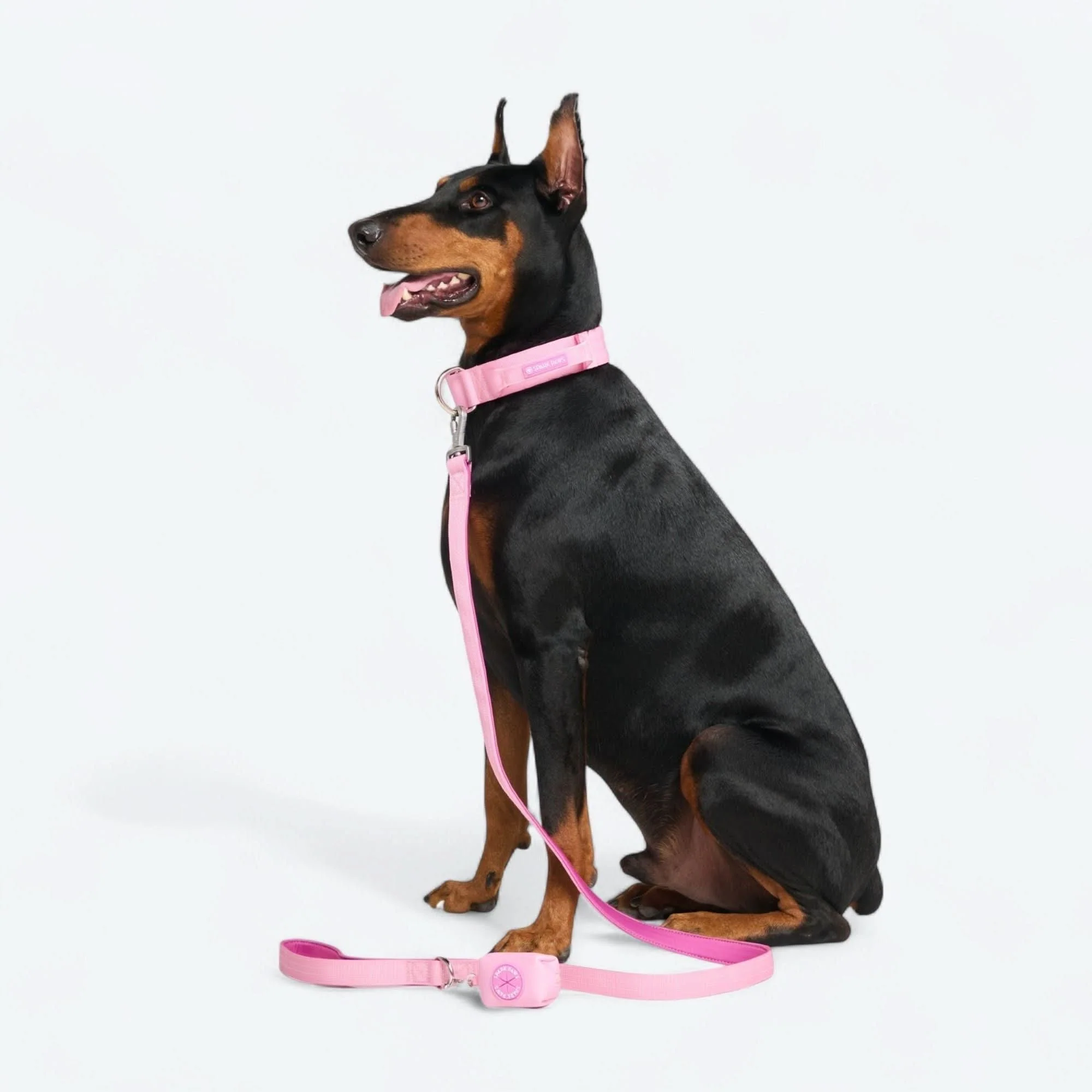 Comfort Control Collar - Pink - Image 6