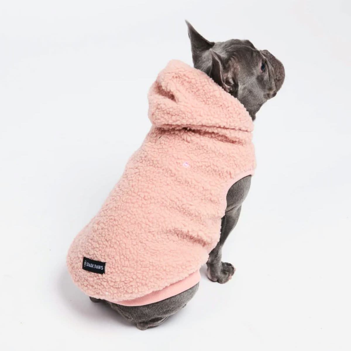 Teddy Sherpa Dog Jackets - Image 30