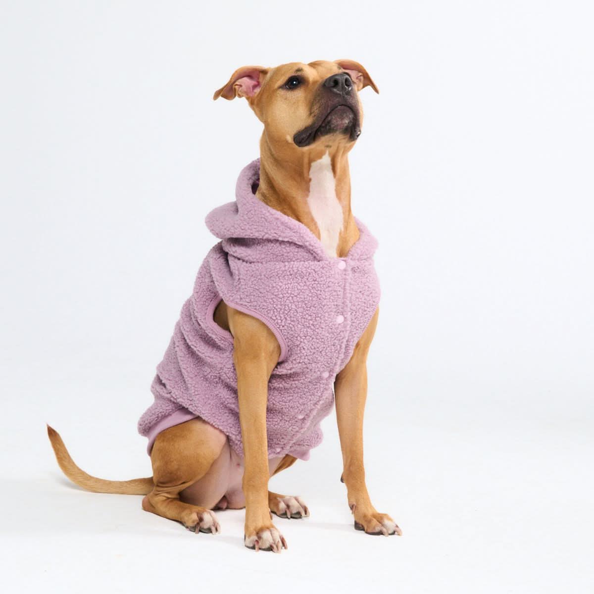 Teddy Sherpa Dog Jacket - Taupe - Image 5