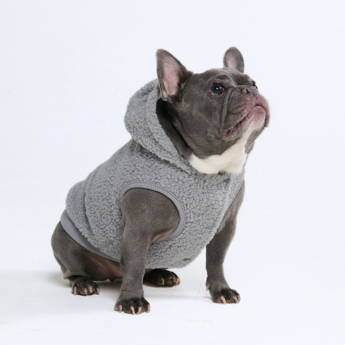 Teddy Sherpa Dog Jacket - Silver Gray - Image 3