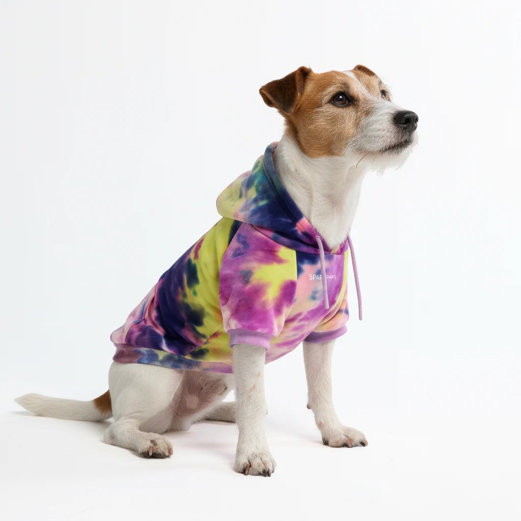 Velvet Dog Hoodie - Berry Lemonade - Image 4