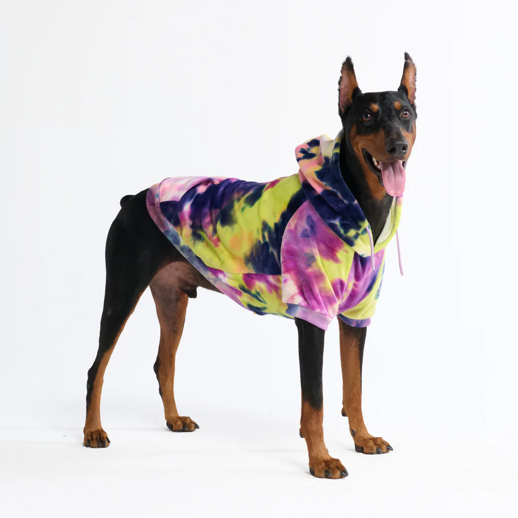 Velvet Dog Hoodie - Berry Lemonade - Image 6