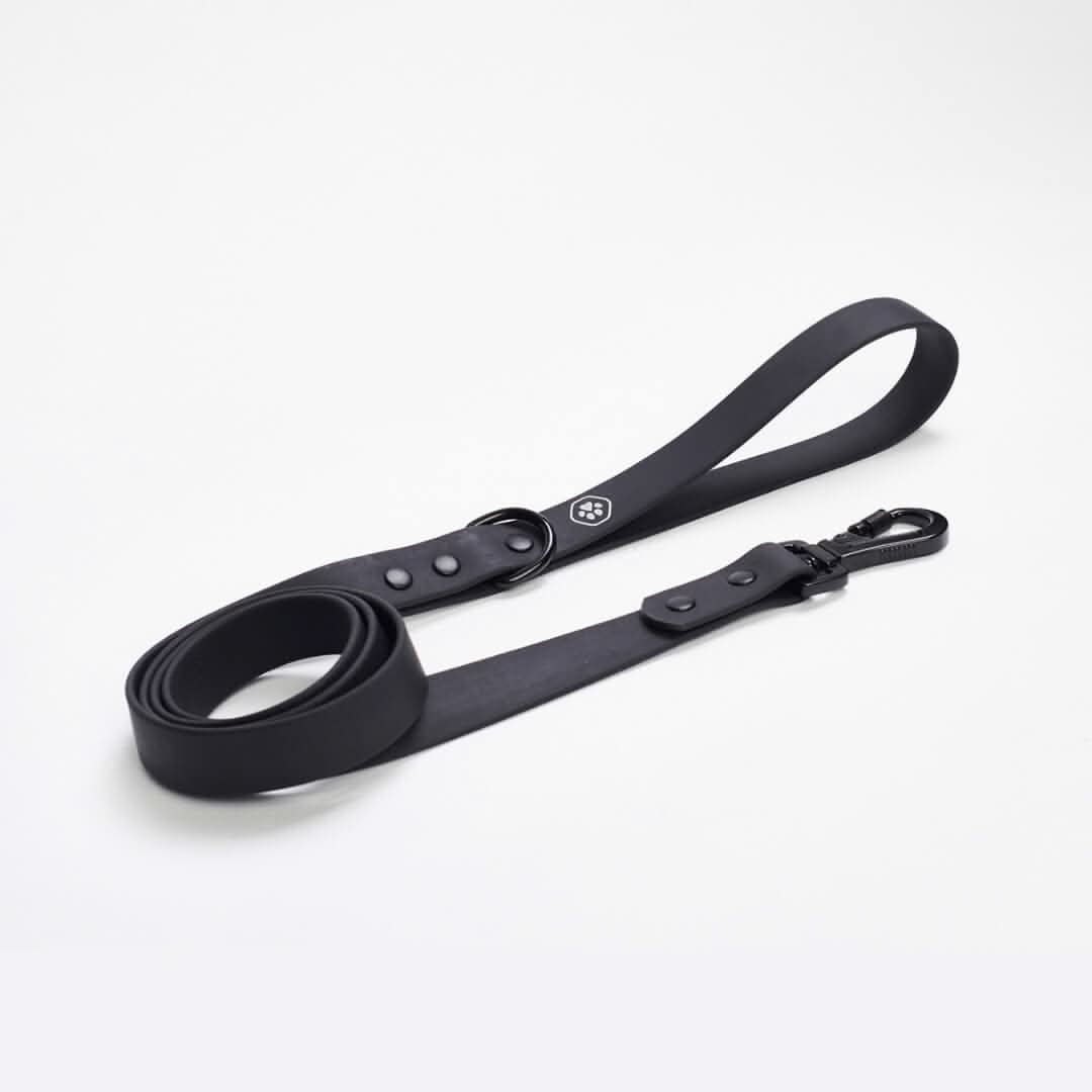 Waterproof PVC Dog Leash (Multi-Color) - Image 3