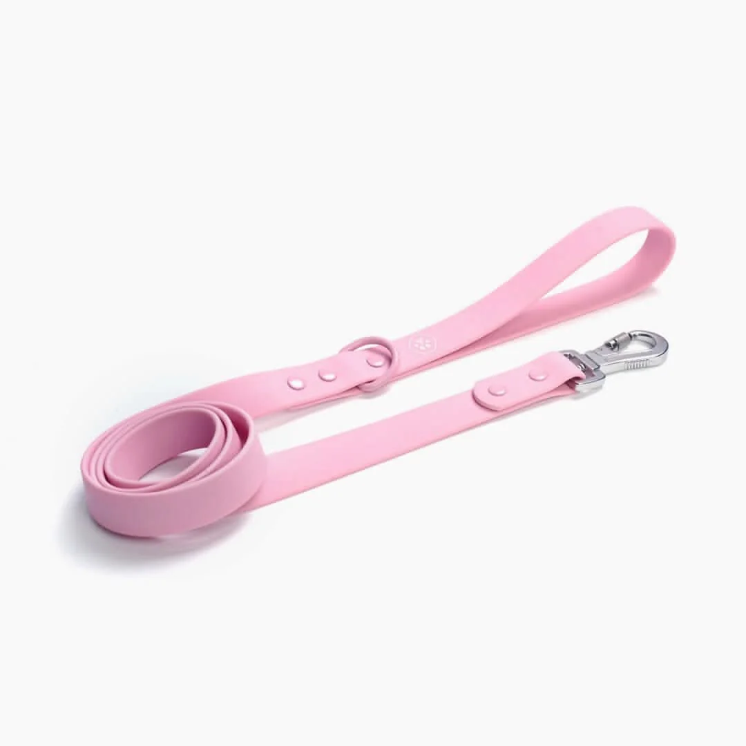 Waterproof PVC Dog Leash (Multi-Color) - Image 7