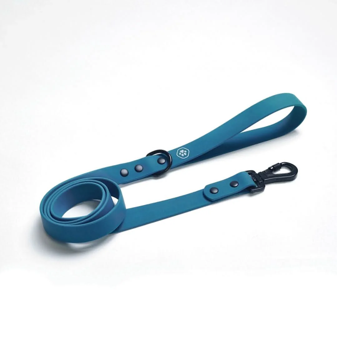 Waterproof PVC Dog Leash (Multi-Color) - Image 9