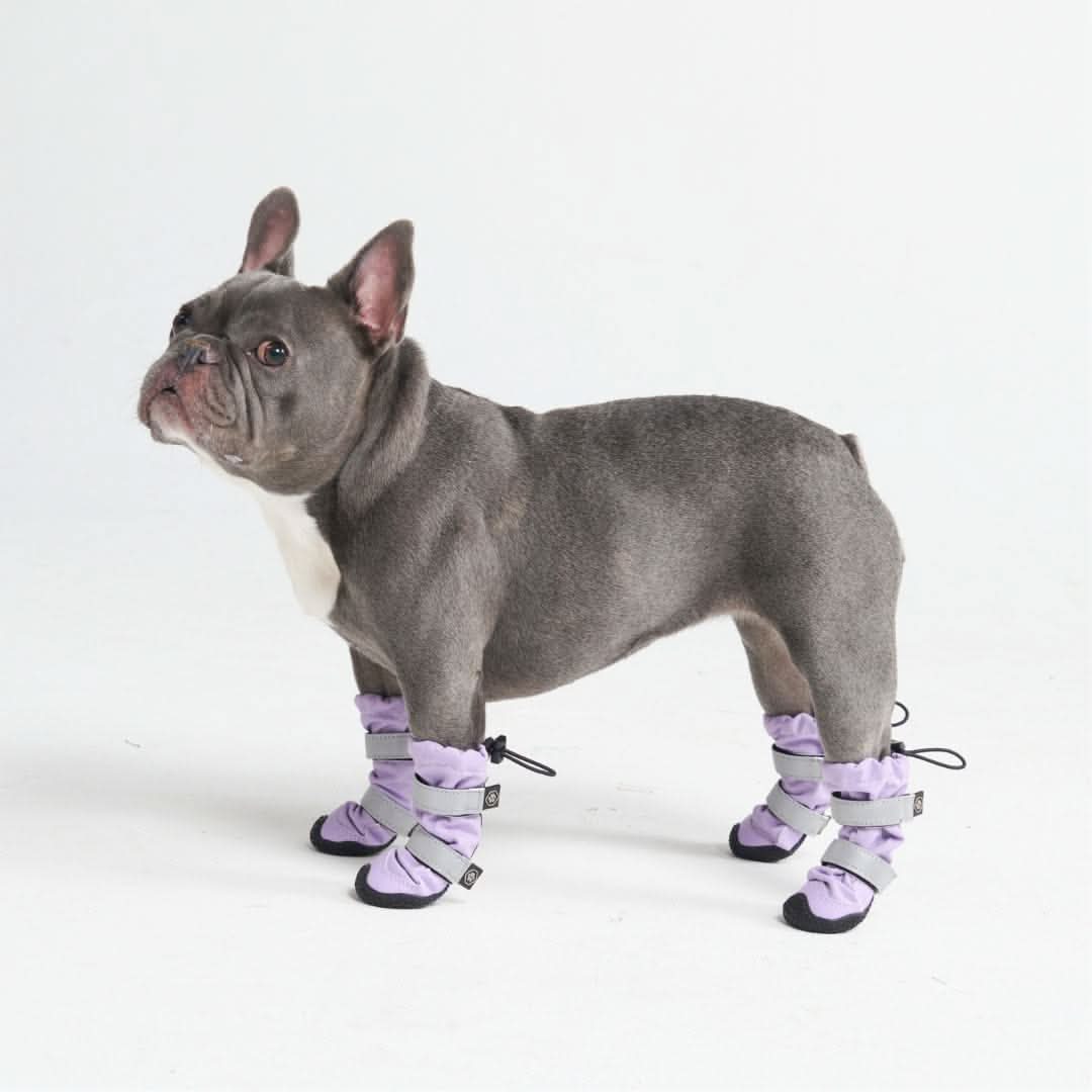 Dog Rainboots, Waterproof Dog Shoes - Image 10