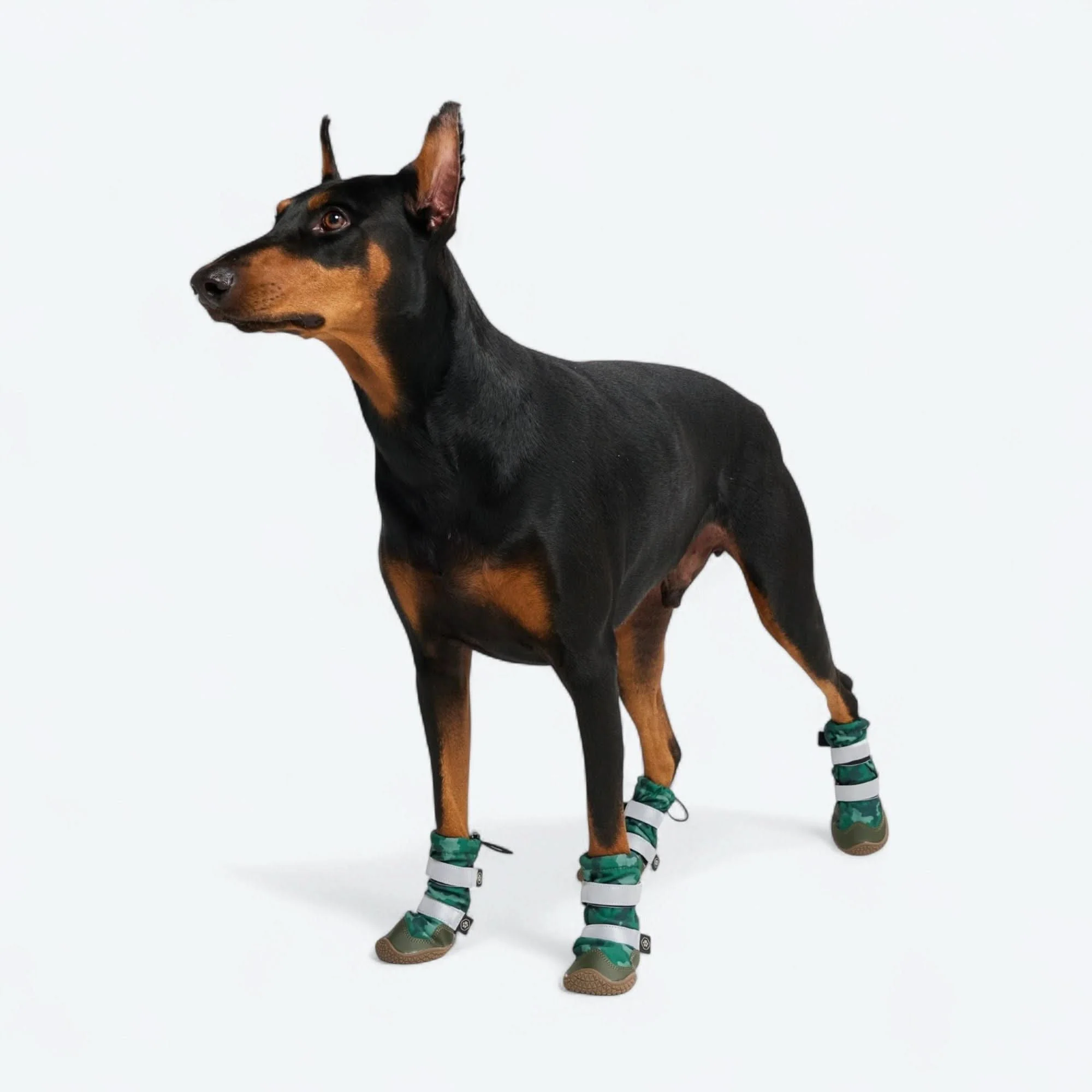 Dog Rainboots, Waterproof Dog Shoes - Image 42