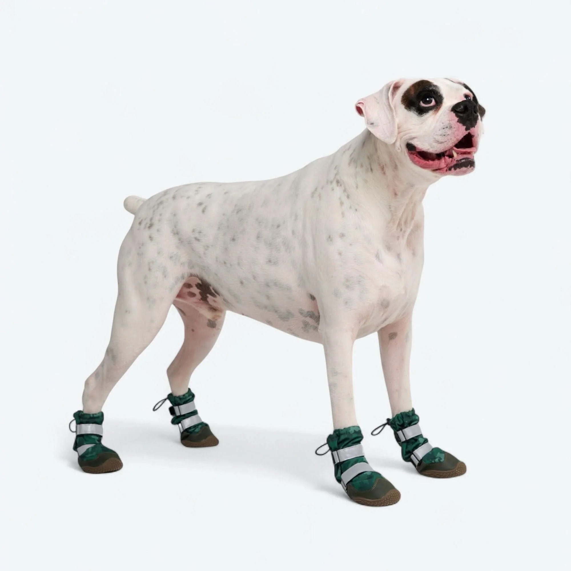 Dog Rainboots, Waterproof Dog Shoes - Image 44