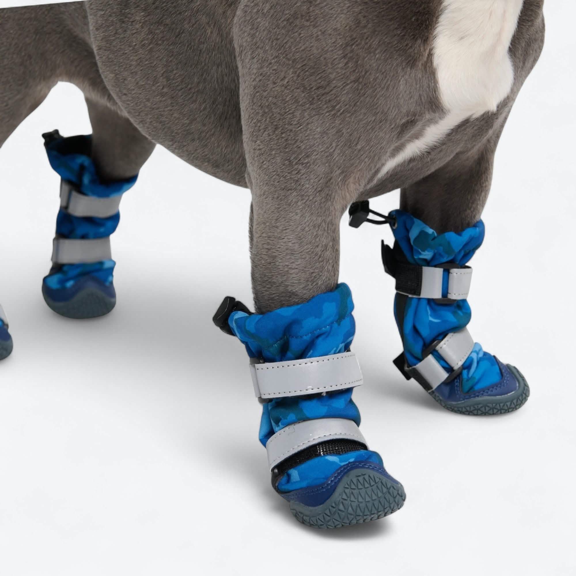 Dog Rainboots, Waterproof Dog Shoes - Image 32
