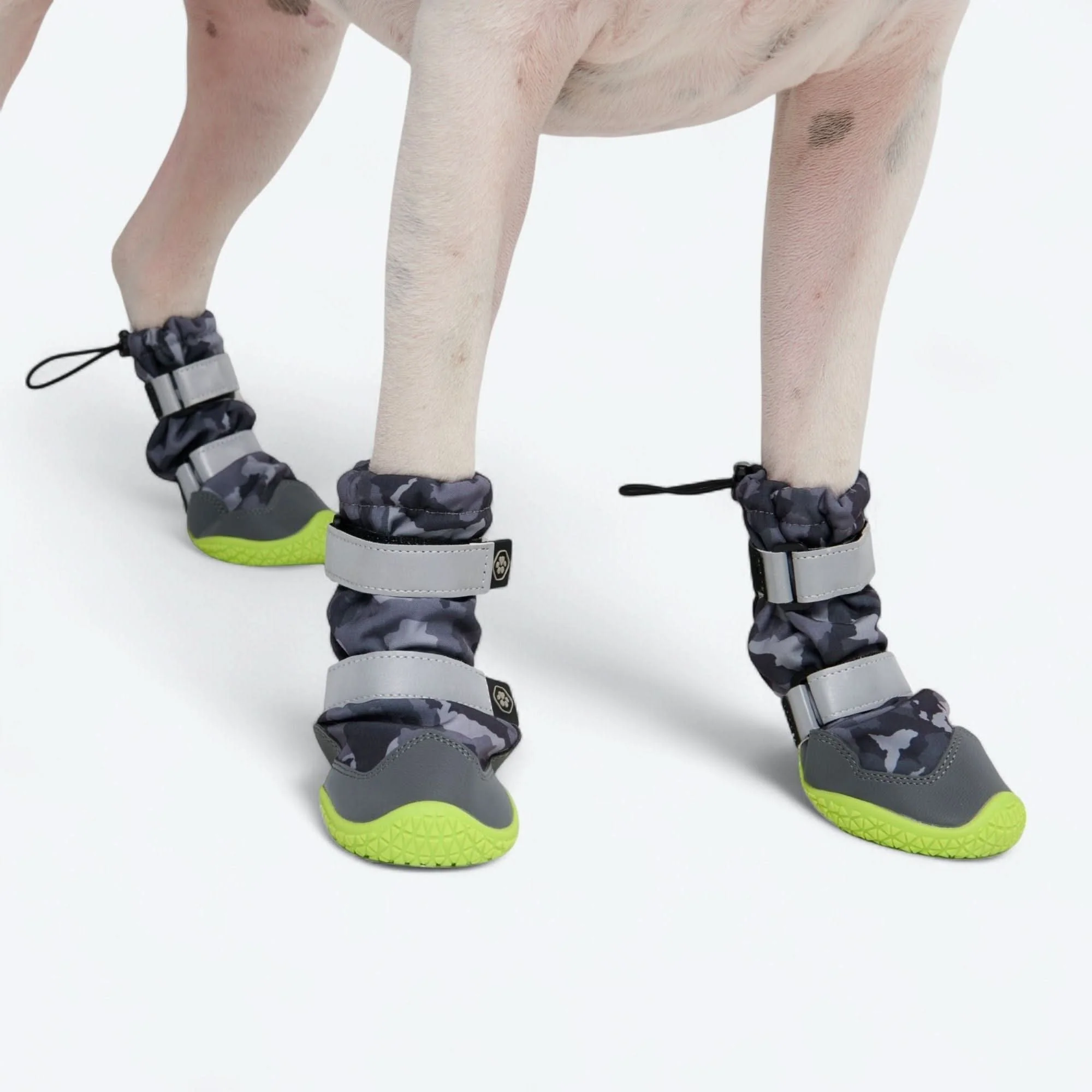 Dog Rainboots, Waterproof Dog Shoes - Image 57