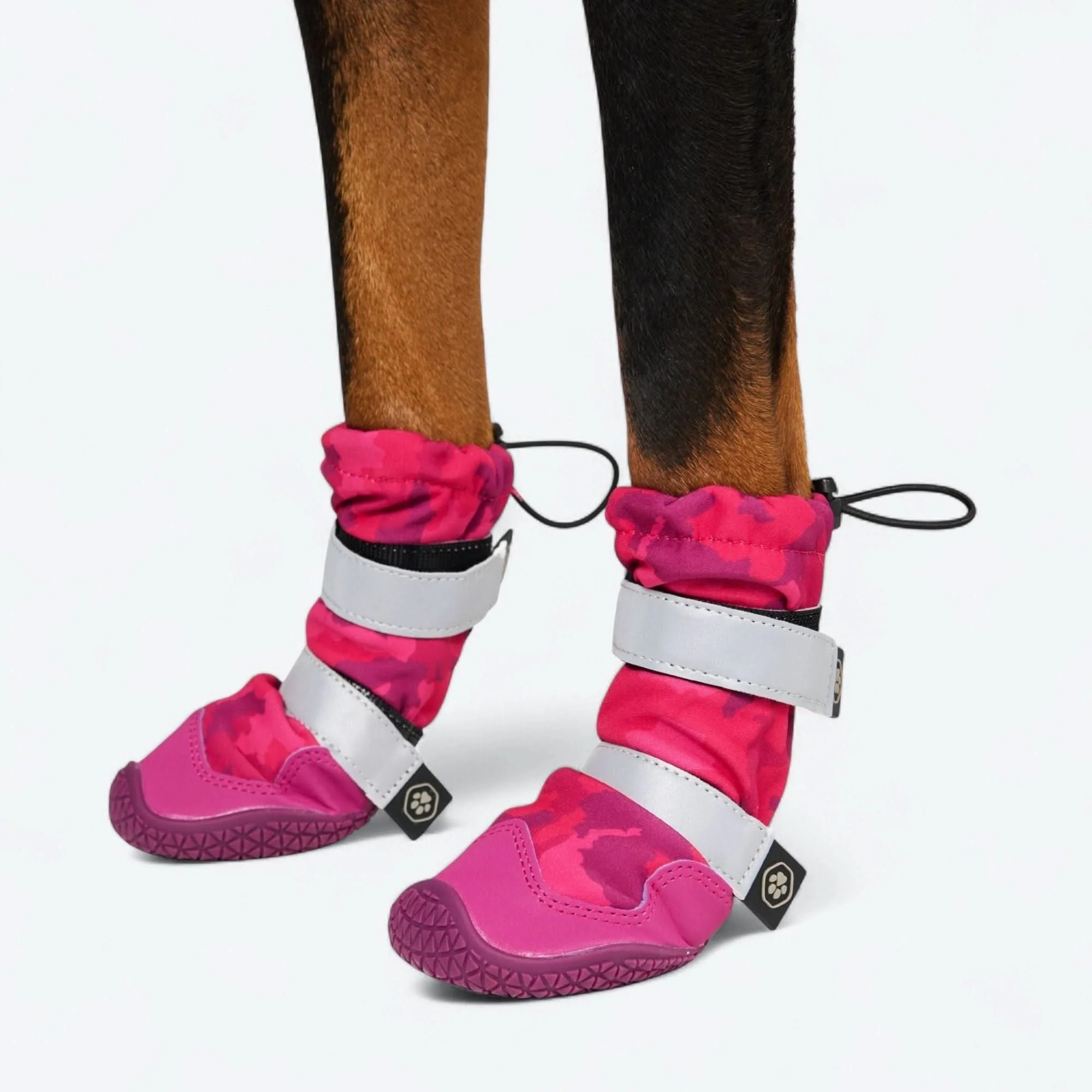 Dog Rainboots, Waterproof Dog Shoes - Image 58