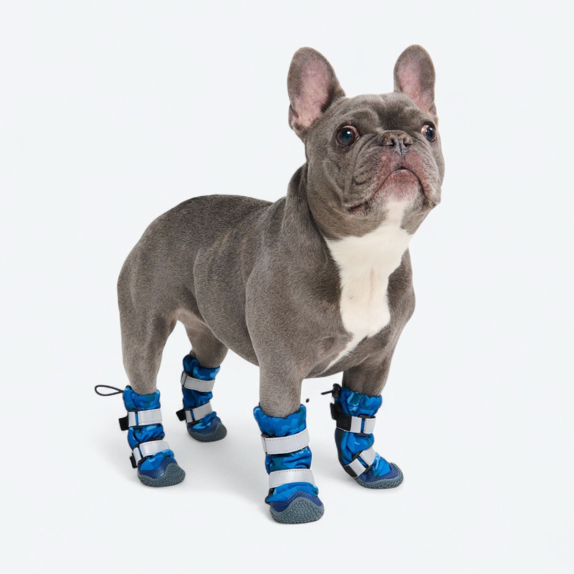 Dog Rainboots, Waterproof Dog Shoes - Blue Camo - Image 4